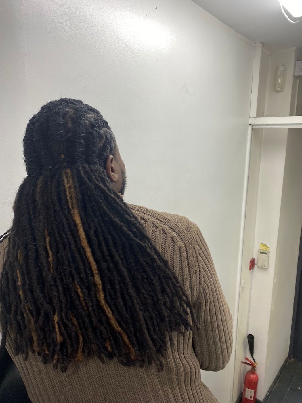 Locs with gold tones